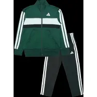 Adidas Chándal 'Seasonal Essentials Tiberio' verde oscuro / negro / blanco