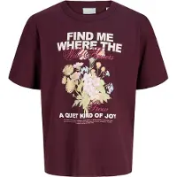 Jack & Jones Kids Camiseta De Manga Corta Sandra Jjxx