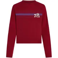 O'Neill Camiseta mezcla de colores / rojo