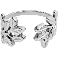 Purelei Anillo 'Leaf' plata