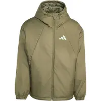 Adidas Chaqueta de montaña 'Multi' oliva