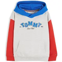 Tommy Hilfiger Sudadera azul / gris claro / rojo