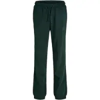 Jack & jones Junior Pantalón 'JJIGORDON' pino