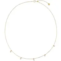 Dear Me Cadena 'Evolution' oro