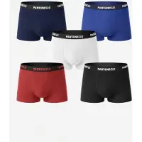 PANTONECLO Calzoncillo boxer 'Men’s Boxer Underwear-10 Pcs Pack' mezcla de colores