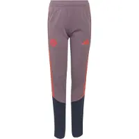 Adidas adidasPantalón de entrenamiento FC Bayern 26/27 Cup 176 Shadow Fig / Legend Ink Niño