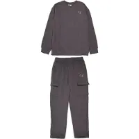Puma Conjunto gris