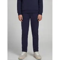 JJ REBEL Pantalón 'JREBCREST' navy