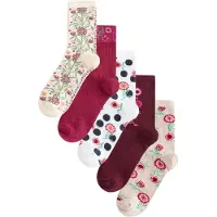 Next Calcetines marfil / rosa / blanco
