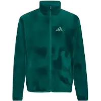 Adidas Chaqueta polar funcional 'MT' pino / verde oscuro
