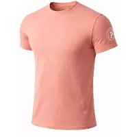 PANTONECLO Camiseta 'Men’s Crew Neck Short Sleeve T-Shirt' naranja claro