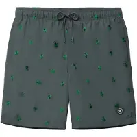 The Sunshine Brand Bermudas 'Mike Clover' petróleo / esmeralda