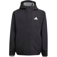 Adidas Chaqueta de montaña negro