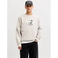 Jack & Jones Sudadera 'JCOCLUB' gris / antracita / blanco