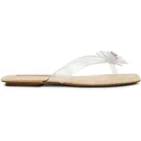 Steve madden Tigerlily Slides Clear Talla: 39 | Chancletas Outlet | Mujer