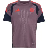 Adidas Camiseta funcional 'FC Bayern München 26/27' navy / lila claro / rojo