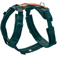 Hunter - Maldon 3.0 - Arnés para perro size XS - Hals 31 – 49 cm, Bauch 34 – 49, azul/naranja