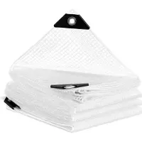 BellaFurn Lona impermeable con ojales, 140 g/m², resistente a los rayos UV, transparente, 300x600 cm
