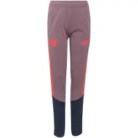 Adidas Pantalón deportivo 'FC Bayern München 26/27' azul noche / malva / rojo