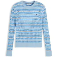 Tommy Hilfiger Jersey azul oscuro / azul claro / burdeos / blanco