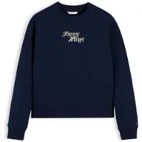 Tommy Hilfiger Sudadera kitt / navy