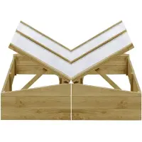 vidaXL : 2 invernaderos, madera de pino tratada, 100 x 50 x 35 cm