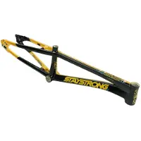 Stay Strong Cuadro De Bmx For Life V5.1