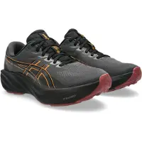 Asics - Gt-2000 15 GTX - Zapatillas para correr size 10, gris/negro
