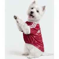 Adidas adidasCamiseta para mascota del Liverpool FC XL Active Maroon Unisex
