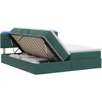 Syfax Cama con almacenamiento LED, colchón, color verde oscuro, 200 x 200 cm, tapizada en terciopelo