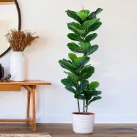 OEM Ficus artificial en maceta, 152 cm. Ficus artificial, plantas artificiales en maceta para interior y exterior