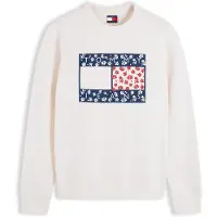 Tommy Hilfiger Sudadera 'NOVELTY' navy / rojo / blanco