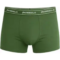 PANTONECLO Calzoncillo boxer 'Men’s Boxer Underwear' verde