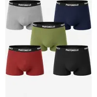 PANTONECLO Calzoncillo boxer 'Men’s Boxer Underwear-10 Pcs Pack' mezcla de colores