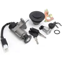 Gistuch Conjunto de interruptor de encendido de 4 cables para ciclomotores a gasolina de 50 cc y 150 cc, modelo 139QMB GY6, novedad para scooters chinos