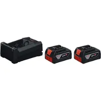 Bosch GBA 18V 5.0Ah: Kit de inicio (1600A03CH1)GAL 12V/18V-80: Cargador profesional de 8 A+ 2 x GBA 18V 5.0Ah: Baterías de 18 V, 5.0 Ah