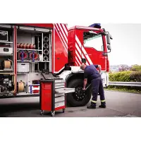 Stahlwille Destornillador Dinamométrico Torsiomax 775/50 N