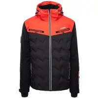 Iguana Chaqueta Amblo