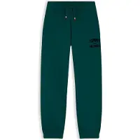Tommy Hilfiger Pantalón 'Brand Love' pino