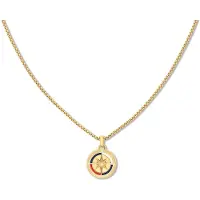 Tommy Hilfiger Collar 2790721