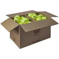 Wilson Caja De Pelotas De Tenis Triniti Club 72 Unidades