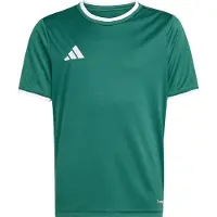 Adidas Camiseta funcional 'ENT26' verde oscuro / blanco