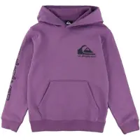 Quiksilver Sudadera Con Capucha Omni Logo