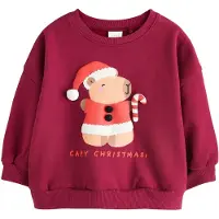 Next Sudadera kitt / naranja oscuro / arándano / blanco