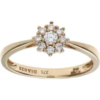 Diamant L'Eternel Anillo 'Cluster-Ring aus 375 Gelbgold mit 9 Karat Diamant' oro
