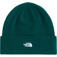 The North Face - Norm Beanie - Gorro size One Size, verde