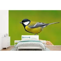 OEM Papel pintado con motivos de aves - Carbonero (ave) - Formato grande - Verde - Ancho 450 cm x Alto 300 cm