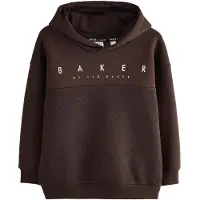 Ted Baker Sudadera marrón / blanco