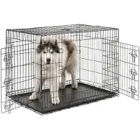 Lionto Jaula de transporte para animales de , jaula metálica plegable con separador, base de plástico y cierre de seguridad, 106x71x77 cm