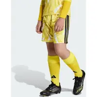 Adidas adidasPANTALÓN CORTO DE PORTERO TIRO26 COMPETITION 116 Bright Yellow Niño